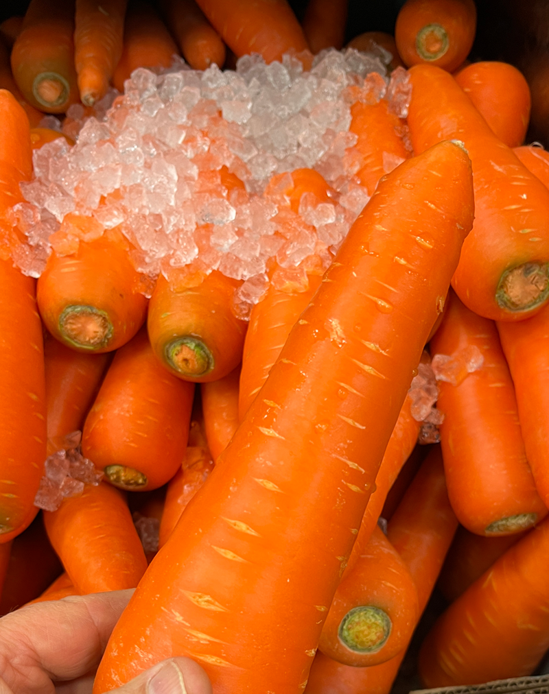 2025-08-11 - Chinese Carrot