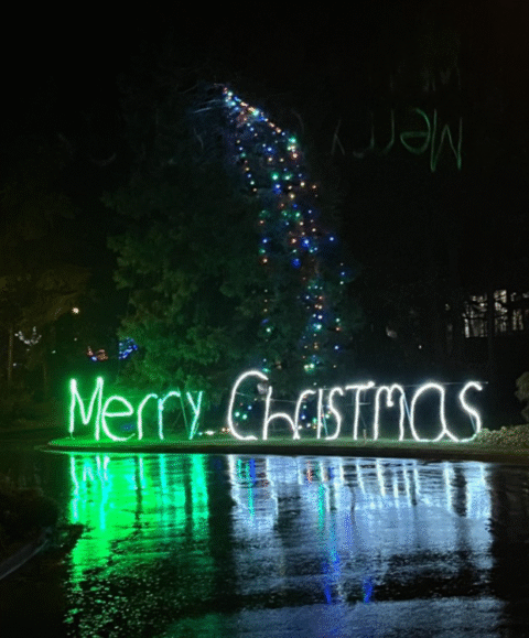 2025-11-25 - Christmas Lights