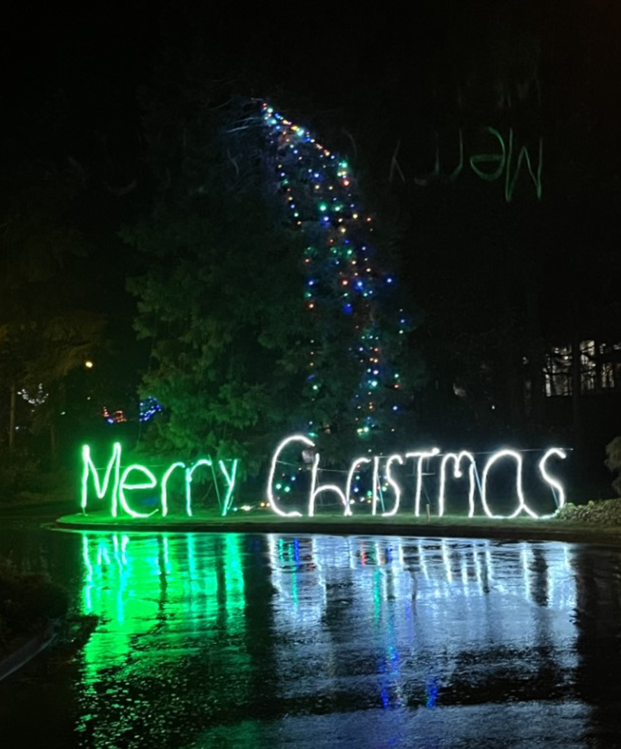 2025-11-25 - Christmas Lights