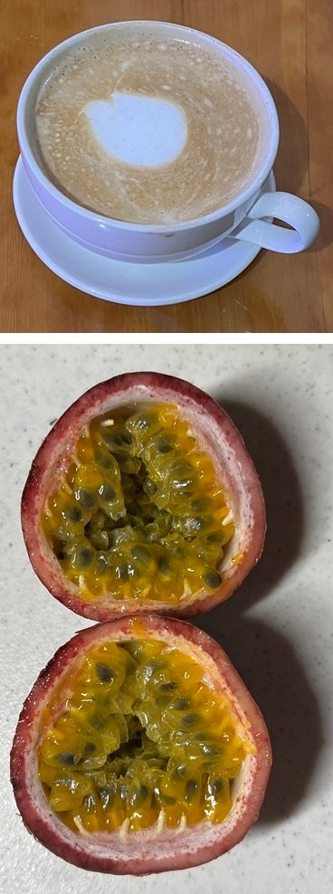 2026-03-06 - Peace Dove + Passion Fruit