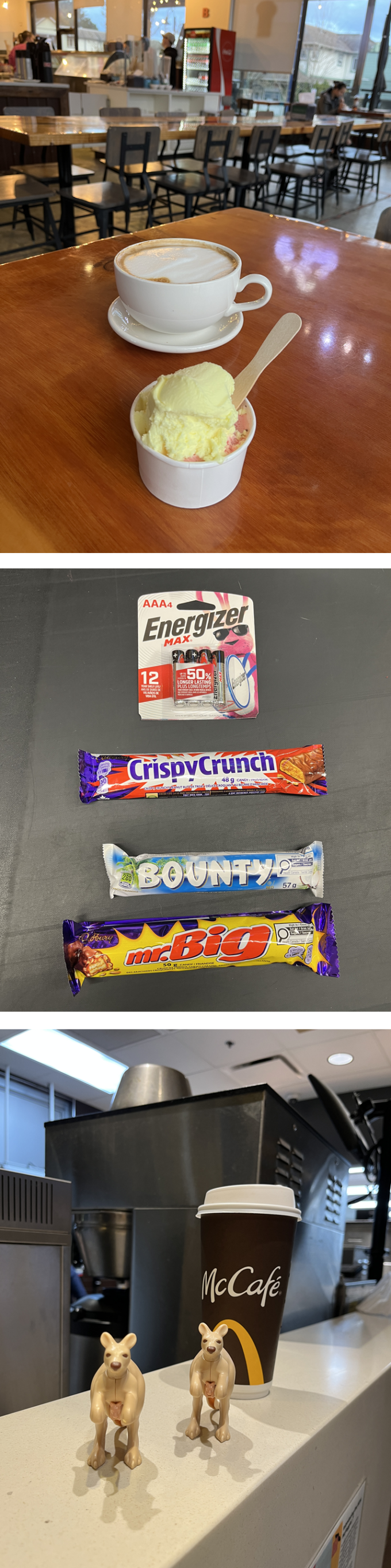 2026-03-21 - Toy Kangaroos