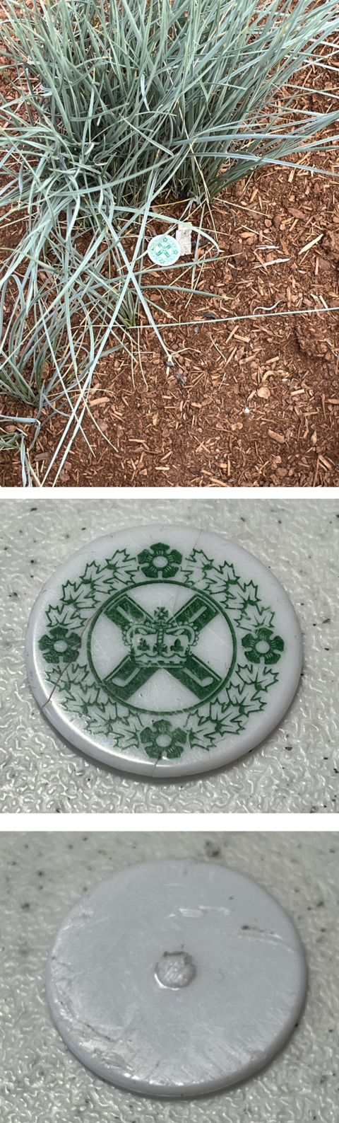 2026-05-08 - Green Game Token