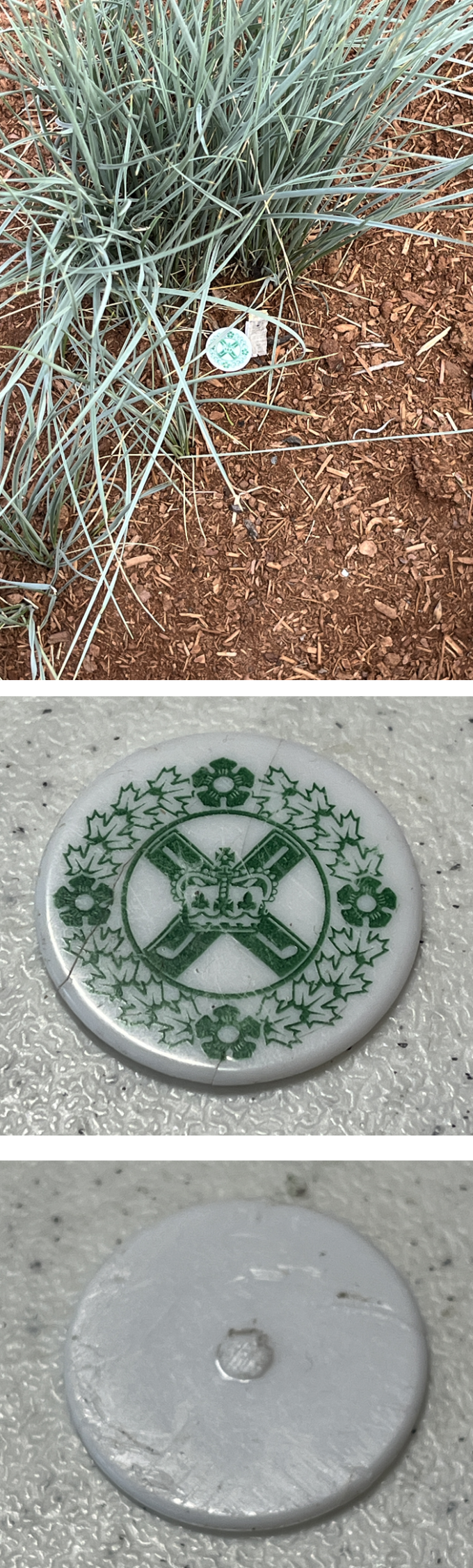 2026-05-08 - Green Game Token