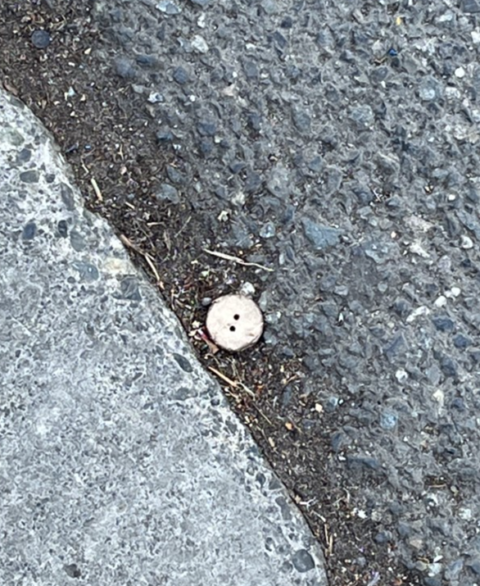2026-05-27 - Little Wooden Button Thing