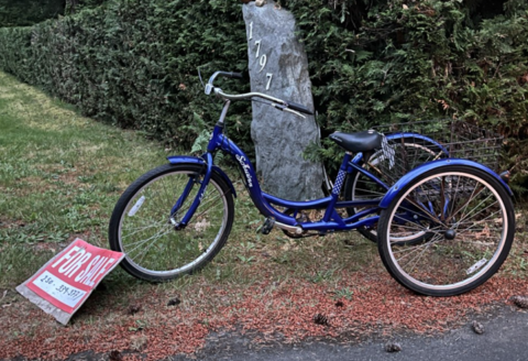 2026-05-31 - Trike For Sale