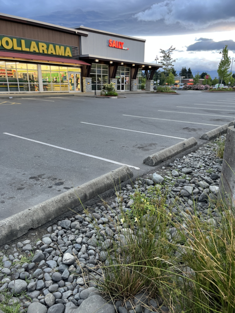 2026-06-04 - Walking