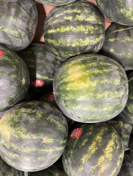 Day #1023 – (Tue., Jun. 16, 2026) – (ChatGPT #0409 – Watermelon!) (-17.6 lbs.) 2026-06-16 - Watermelon