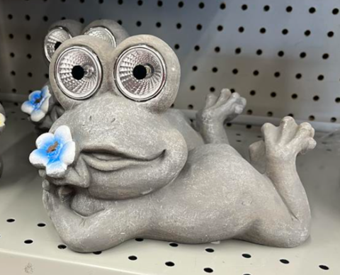 2026-07-12 - Dollarama Frog