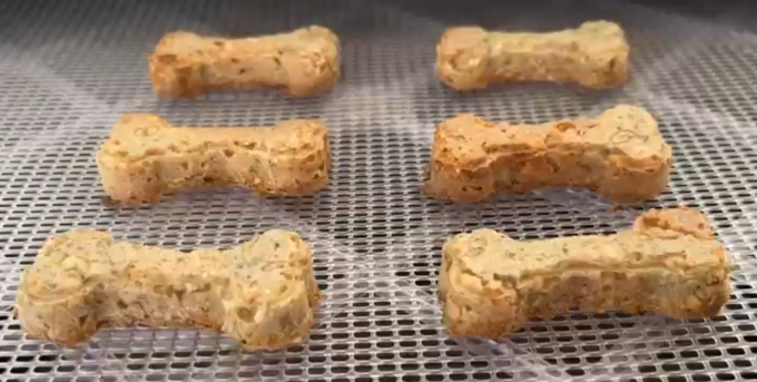 Day #1061 – (Fri., Jul. 24, 2026) – (ChatGPT #0447 – Vegan Dog Treats!) (-21.5 lbs.) 2026-07-24 - Vegan Dog Treats